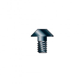 SCREW DOME M4X10MM SOCKET